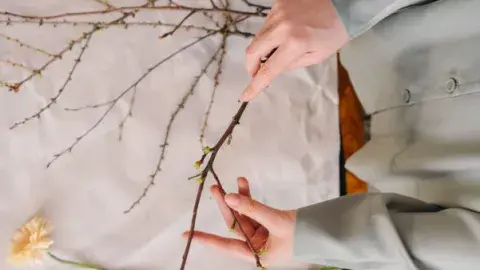 cutting flowers