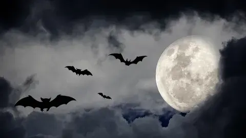 Bats flying during a scary full moon night.