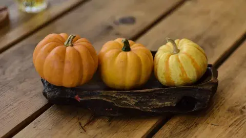 three mini pumpkins