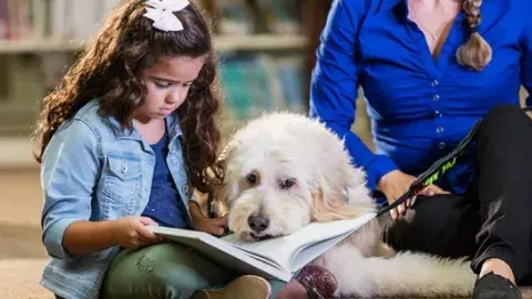 Child reading to a therapy dog.