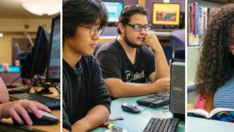 Students studying