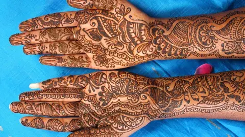 A pair of hands displaying an intricate henna tattoo.