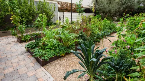 Garden beads growing produce