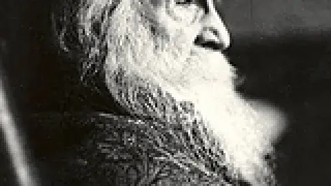 Walt Whitman side profile