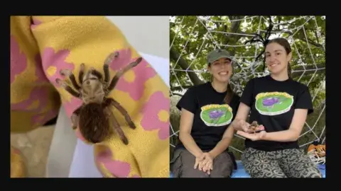 A spider crawls on the sleeve of a child's sweater. The Bug Gals sit with Ashley holding a spider.