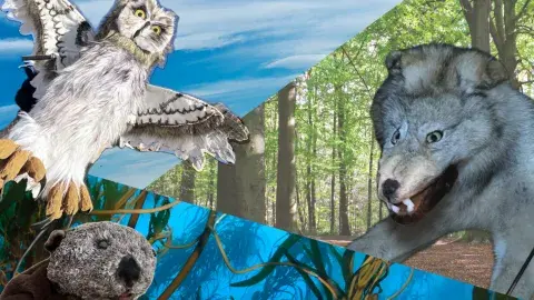 Three animal puppets