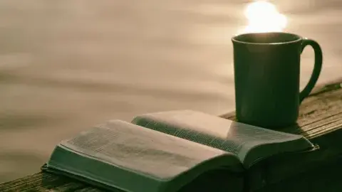 mug and open book sitting by the water