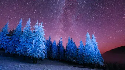 A glowing pink night sky and dark mountains are the backdrop for blue frosted trees.