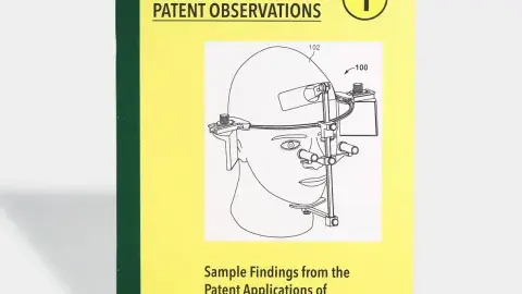 Book cover of Public Collectors: Patent Observations