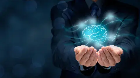 hands holding a brain representing intellectual property