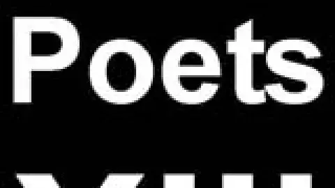 Newer Poets XIII