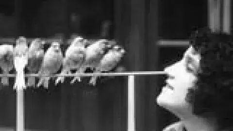 When Women Were Birds: Fifty-Four Variations on Voice