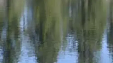 The Elemental West: Reflections on Moving Water
